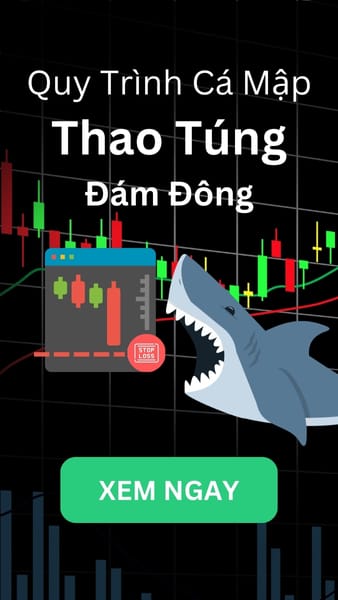 Banner Cá mập thao túng